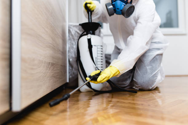 Best Wildlife Control Services  in Bolinas, CA