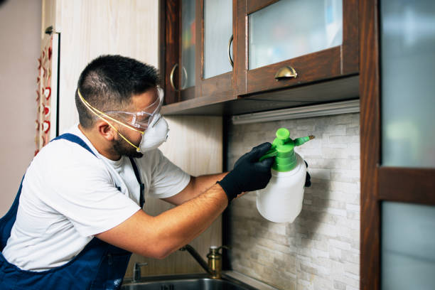 Best Wildlife Control Services  in Bolinas, CA