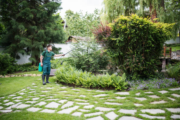 Best Termite Control Services  in Bolinas, CA