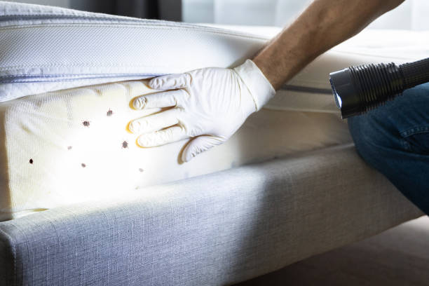 Best Pest Prevention Services  in Bolinas, CA