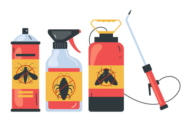 Trusted Bolinas, CA Pest Control Experts