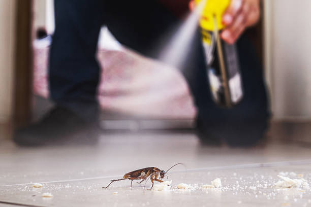 Best Residential Pest Control  in Bolinas, CA