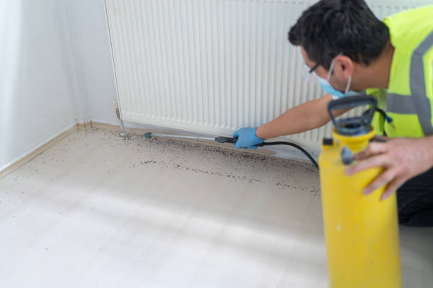 Best Pest Inspection Near Me  in Bolinas, CA
