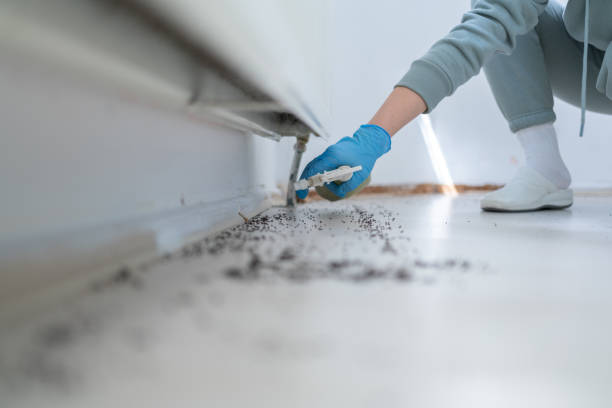 Best Cockroach Control Services  in Bolinas, CA