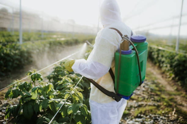 Best Best Pest Control Companies  in Bolinas, CA